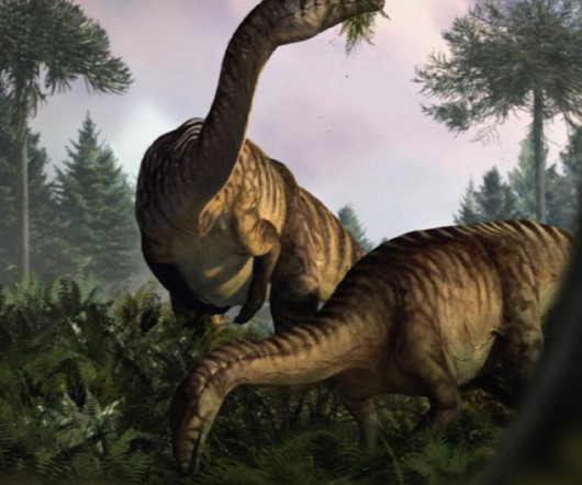 article thumbnail