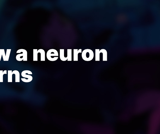 article thumbnail