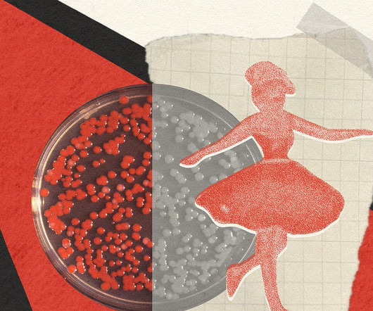 article thumbnail